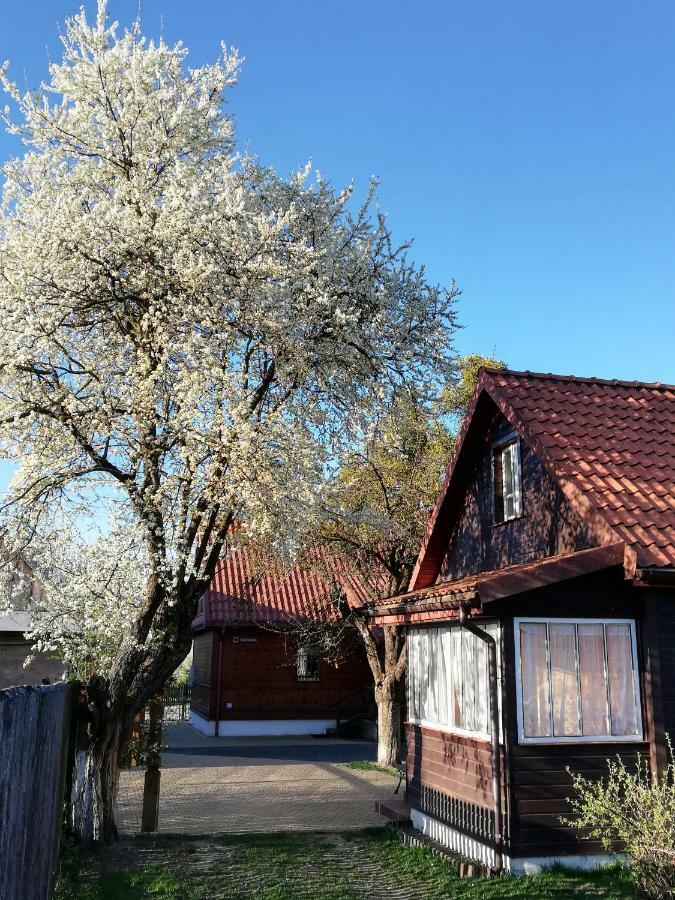 Domek Zapiecek Bialowieza Exterior photo